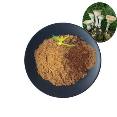 ผงสกัดจากเห็ดนมเสือ Lignosus Rhinocerus ธรรมชาติเกรดอาหาร 10%~30% โพลีแซ็กคาไรด์