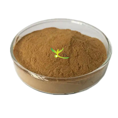 สารสกัดจาก Lysimachia Christina พูน 10:1 สารสกัดจาก Lysimachia Christinae
