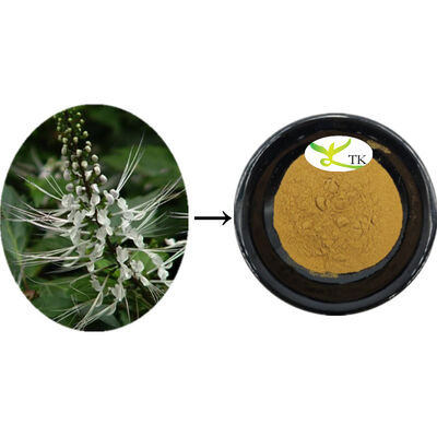 สารธรรมชาติ Orthosiphon Aristatus สารสกัด สารสกัดใบ Orthosiphon สารสกัดผง ทําความสะอาด Calculi