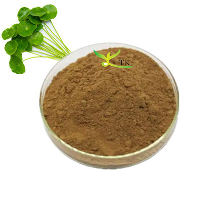 ราคาปลีก คุณภาพสูง Gotu Kola Extract 5% Asiaticoside ในจํานวนมาก Centella Asiatica
