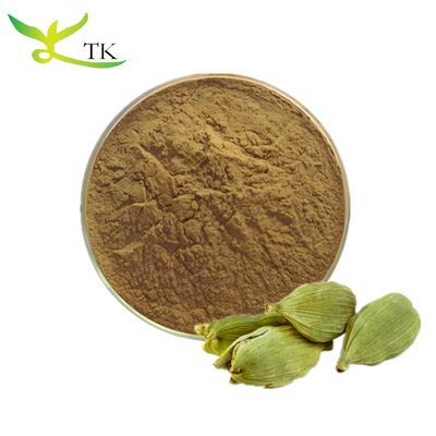 Wholesale Price Natural Plant Extract Powder Green Cardamom Seed Extract Powder Green Cardamom Powder