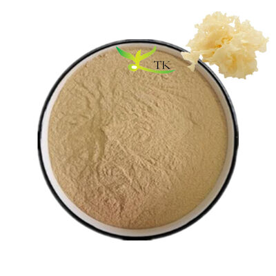 สารสกัดจากเห็ด Tremella Fuciformis ของธรรมชาติ สับ Tremella Fuciformis Sporocarp Extract