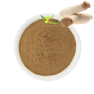 อาหารเสริมเห็ดธรรมชาติ King Trumpet Mushroom Extract Powder Polysaccharides 20%