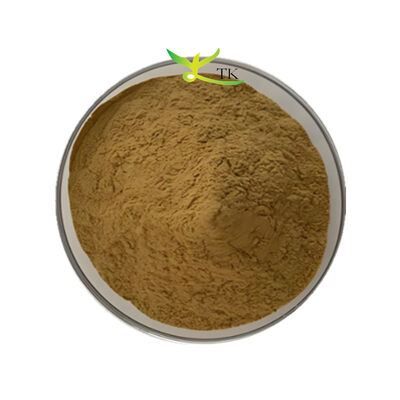 โรงงานซัพพลาย Bacopa Monnieri Extract 40% Bacopasides Powder Brahmi Extract Powder