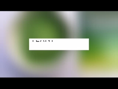 ขายปลีก มอริงก้า โอเลิฟรา ชา ขนาดปูน เม็ดใบมอริงก้า เม็ดเม็ดเม็ดเม็ด