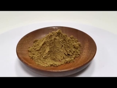 ราคาปลีก 100% สารสกัดจากก๊อปติส ชินเนนซีสธรรมชาติ 10:1 20:1 ในคลัง