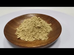 คุณภาพสูงสุด 100% สะอาดธรรมชาติ Panax Ginseng Root Extract Ginsenosides Powder 10% ~ 80%