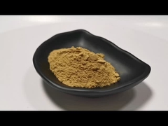 สารสกัดจากใบบัวบก