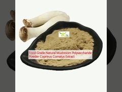 สินค้าอาหาร พอลิสาคาริดเห็ดธรรมชาติ ขนาดผง Coprinus Comatus Extract