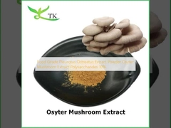 เกรดอาหาร Pleurotus Ostreatus สารสกัด ขาว Osyter Mushroom สารสกัด โพลิสาคาริด 10%
