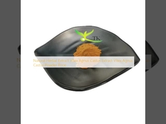 สารสกัดจากสมุนไพรธรรมชาติ Vitex Agnus Castus สารสกัดจากสมุนไพรธรรมชาติ Vitex Agnus Castus