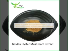 โพลิสาคาริดของเห็ดธรรมชาติ Pleurotus Citrinopileatus สารสกัด สับ Citrine Pleurotus Extract