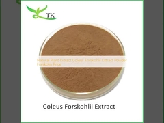 สารสกัดจากพืชธรรมชาติ Coleus Forskohlii สารสกัดจากผง Forskolin Price