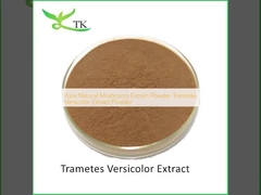 สารสกัดจากเห็ดธรรมชาติที่บริสุทธิ์ Trametes Versicolor Extract Powder