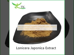 สารสกัด Lonicera Japonica ของธรรมชาติ ขาว สารสกัด Lonicera japonica ของดอกไม้ ราคา