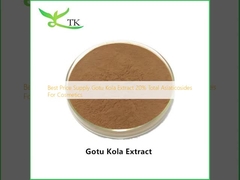 ราคาดีที่สุด จําหน่าย สารสกัด Gotu Kola Extract 20%