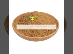 สารสกัดจากพืชธรรมชาติ Platycladus Orientalis Leaf Extract Powder สําหรับดูแลผม