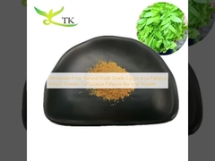ราคาปลีก อาหารธรรมชาติ Cyclocarya Paliurus Extract Powder Cyclocarya Paliurus ผงใบชา