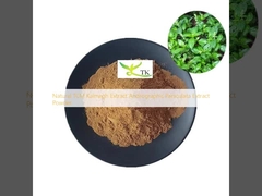สารสกัด TCM Kalmegh Extract Andrographis Paniculata สารสกัด ขาว