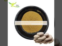 ผงสกัดจากเห็ดนางรม 30% โพลีแซ็กคาไรด์จากเห็ดธรรมชาติบริสุทธิ์