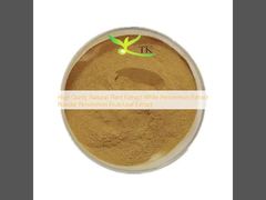 สารสกัดจากพืชธรรมชาติคุณภาพสูง สารสกัดจากลูกพลับขาวชนิดผง สารสกัดจากผล/ใบพลับ