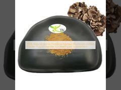 ผงสกัดจากเห็ดไมตาเกะ Grifola Frondosa ธรรมชาติ 100% โพลีแซ็กคาไรด์ สำหรับผลิตภัณฑ์เสริมอาหารเพื่อสุขภาพ