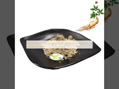 สารสกัดจากรากโสม Panax Ginseng ธรรมชาติ 100% ผงรากโสมจำนวนมาก